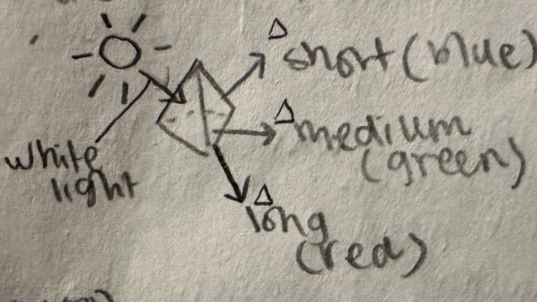 <p><strong><span style="color: blue">Color and Light</span></strong></p><p>(Sick man) ______ ________ proposed that _____ light was a mixture of many ______. </p><p>A ____ was an object that could s_______ the different colors from the _____ light. </p>