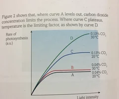 <p>1) When it's low, rate is low.</p><p></p><p>2) As light intensity increases, the rate of photosynthesis increases.</p><p></p><p>3) At a certain point, even when light intensity increases, the rate of photosynthesis does not increase.- saturation point </p><p></p><p>4) This means a factor other than light intensity is limiting factor</p>