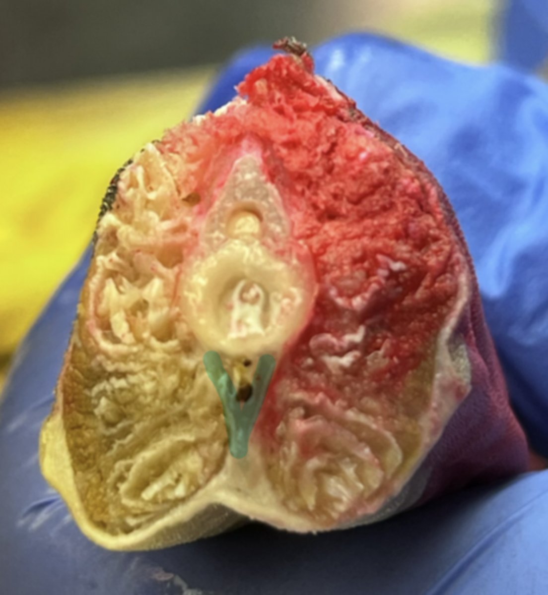 <p>what is this?</p>