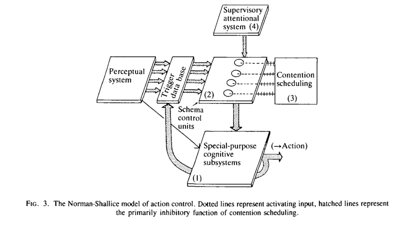 <p>explains how humans regulate and control their actions, particularly in complex or novel situations</p>
