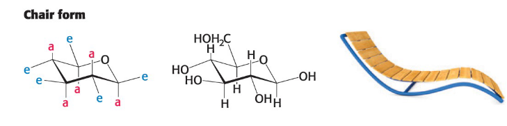 <p>Substituents on the carbon ring atoms can be axial (nearly perpendicular) or equatorial (nearly parallel)</p><p>Axial substituents sterically hinder each other if on the same side of the ring</p><p>Predominates because all axial positions are occupied by hydrogens</p>
