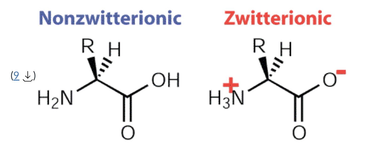 <p>has both a positive and negative charge that has a net neutral charge</p>