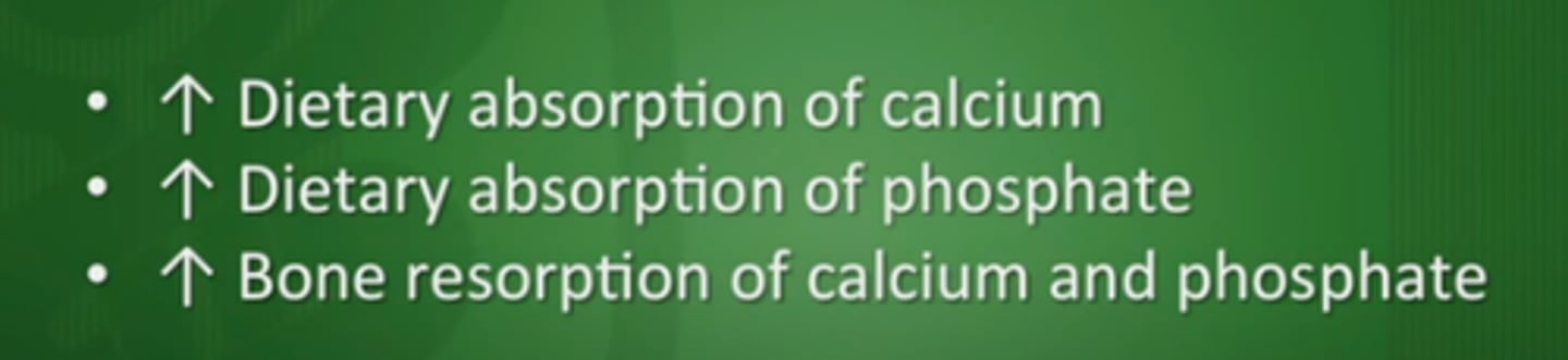 <p>1) Homeostasis of Calcium and Phosphorus; acts like a steroid hormone and affects gene expression</p><p>2) Gene expression; vitamin D receptor on genes</p><p>3) Cell signaling - MISS</p><p>4) Cell growth, differentiation and proliferation (WBCs, stem cells)</p><p>5) Muscle function (Type II muscle)</p><p>6) Immune system (all immune cells contain vitamin D receptors)</p>