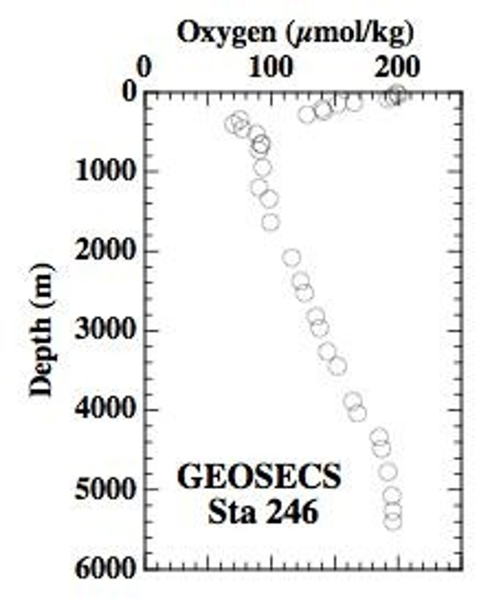 <p>A layer below the photic zone where oxygen levels are low, affecting organism survival.</p>