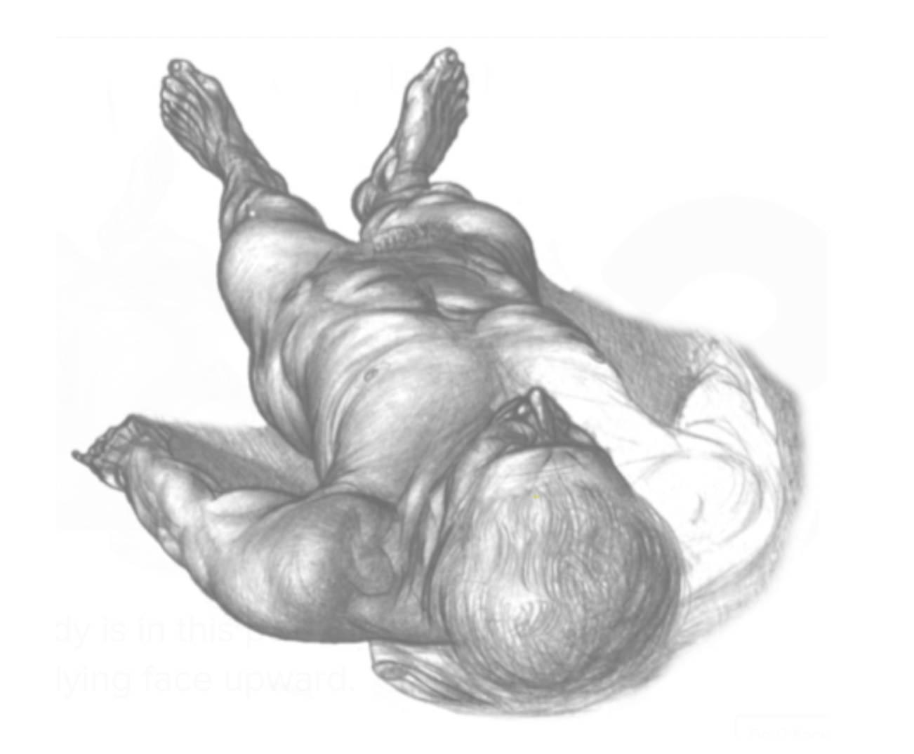 <p>When the body is lying facing upwards </p><ul><li><p>Opposite of <strong>Supine </strong>is <strong>Prone </strong></p></li></ul>