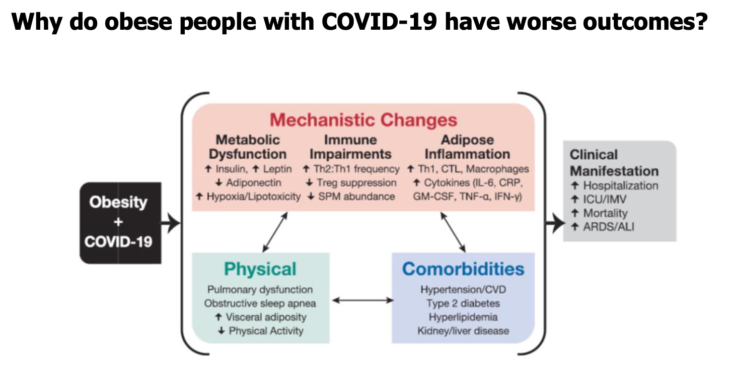 <p>A - worse</p><p>B - hospital admissions, ICU admissions, and death</p><p>C - physical debilitations (e.g. pulmonary dysfunction), comorbidities (e.g. hypertension, CVD, T2D), and mechanistic changes (e.g. metabolic dysfunction, immune impairments, adipose inflammation)</p>