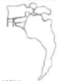 <p>identify grade</p>