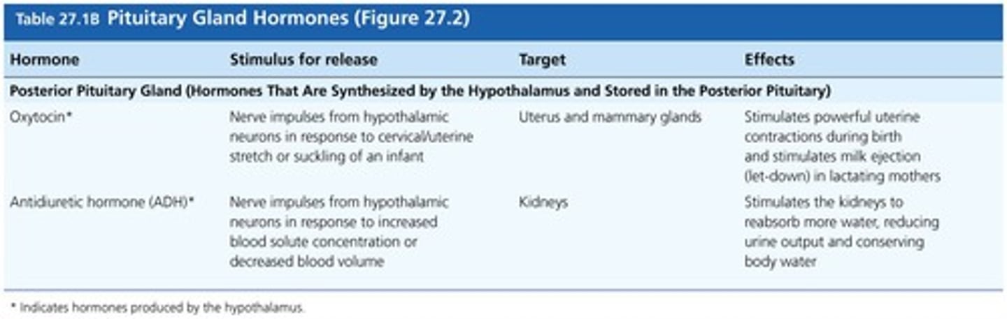 <p>Hormone regulating water balance, stored in posterior pituitary.</p>