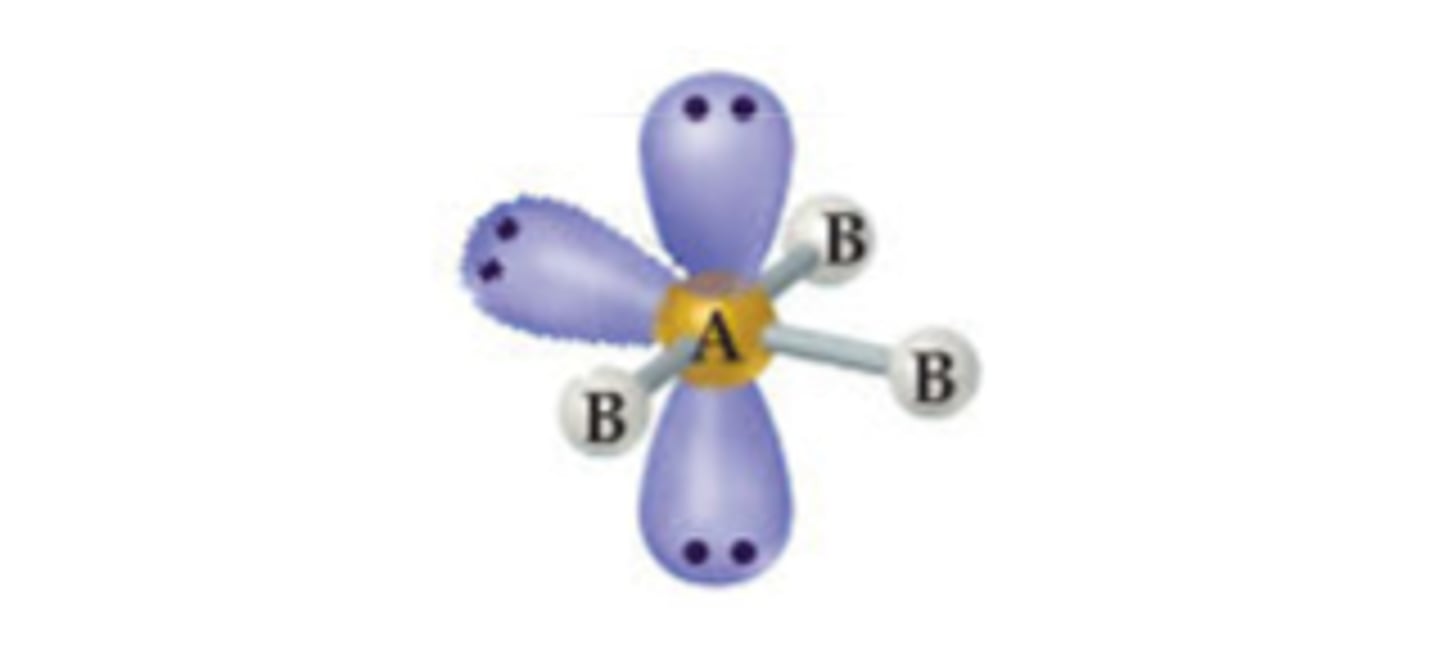 <p>AB3E3</p><p>Central atom; three bonds; three lone pairs</p>