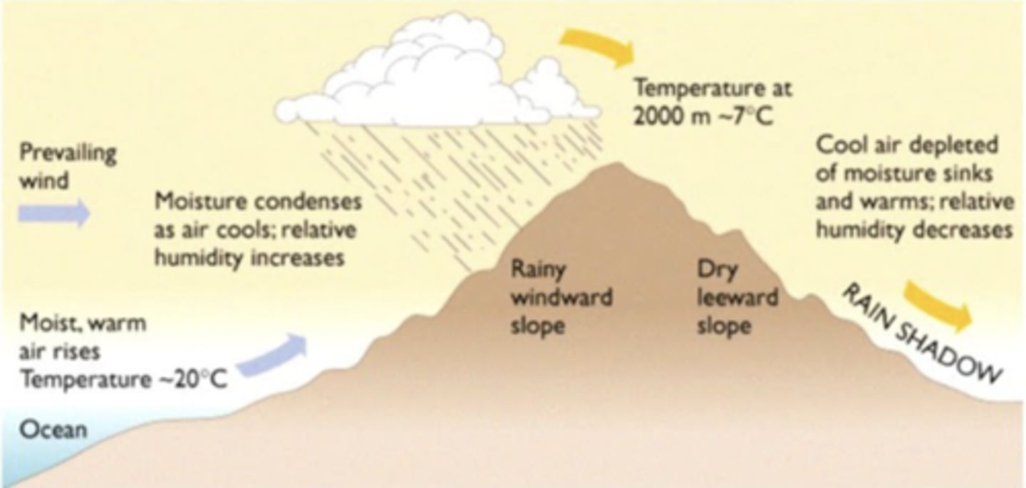 <p>Climatic phenomenon caused by mountains blocking the passage of moist air: prevailing winds blow moist, warm air from the ocean toward the mountains, but as the air moves upward along the windward slope it cools (temperature drops from ~20 °C near sea level to ~-7 °C at ~2000 m altitude), causing its relative humidity to increase</p><p>-moisture condenses into clouds and precipitation falls, forming a rainy windward slope; after crossing the mt peak, the air has lost a lot of moisture, however, and so dry air descends the leeward slope, becoming compressed and warming up and ultimately resulting in dry conditions</p><p>~this dry region on the leeward side is called the rain shadow; the windward slope is typically lush and wet (forests, agriculture possible), while the leeward slope is much drier, often desert-like (i.e. the dry grasslands east of the Rockies in the US Great Plains)</p>