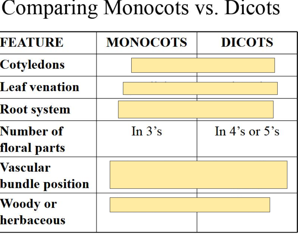 <p>M- 3<br>D- 4 or 5</p>