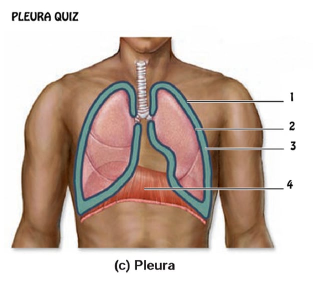<p>#3</p>