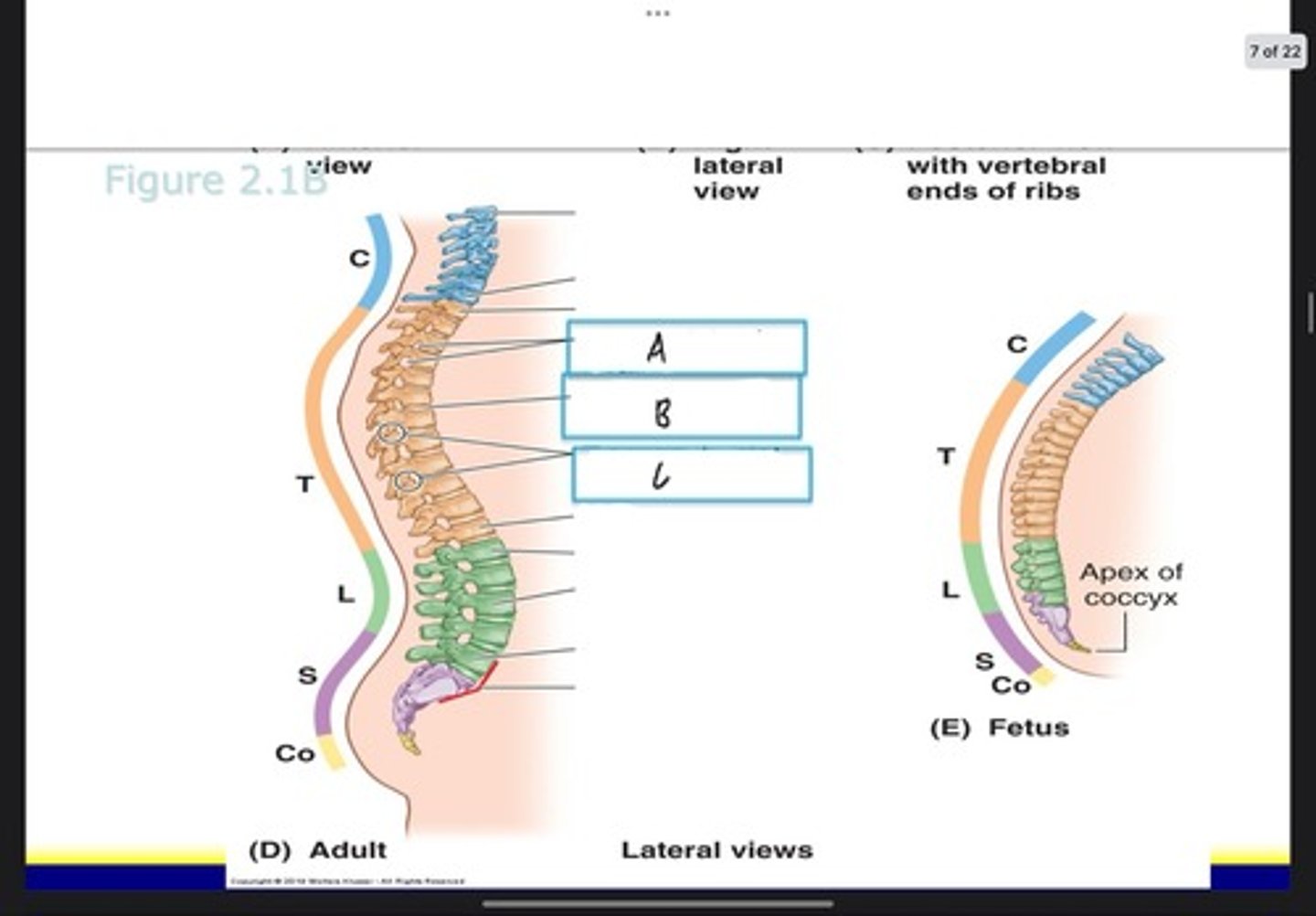 <p>What is C?</p>