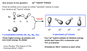 <p>You can determine hybridization by counting the <strong>regions of electron density</strong> (bonds + lone pairs) around an atom</p>