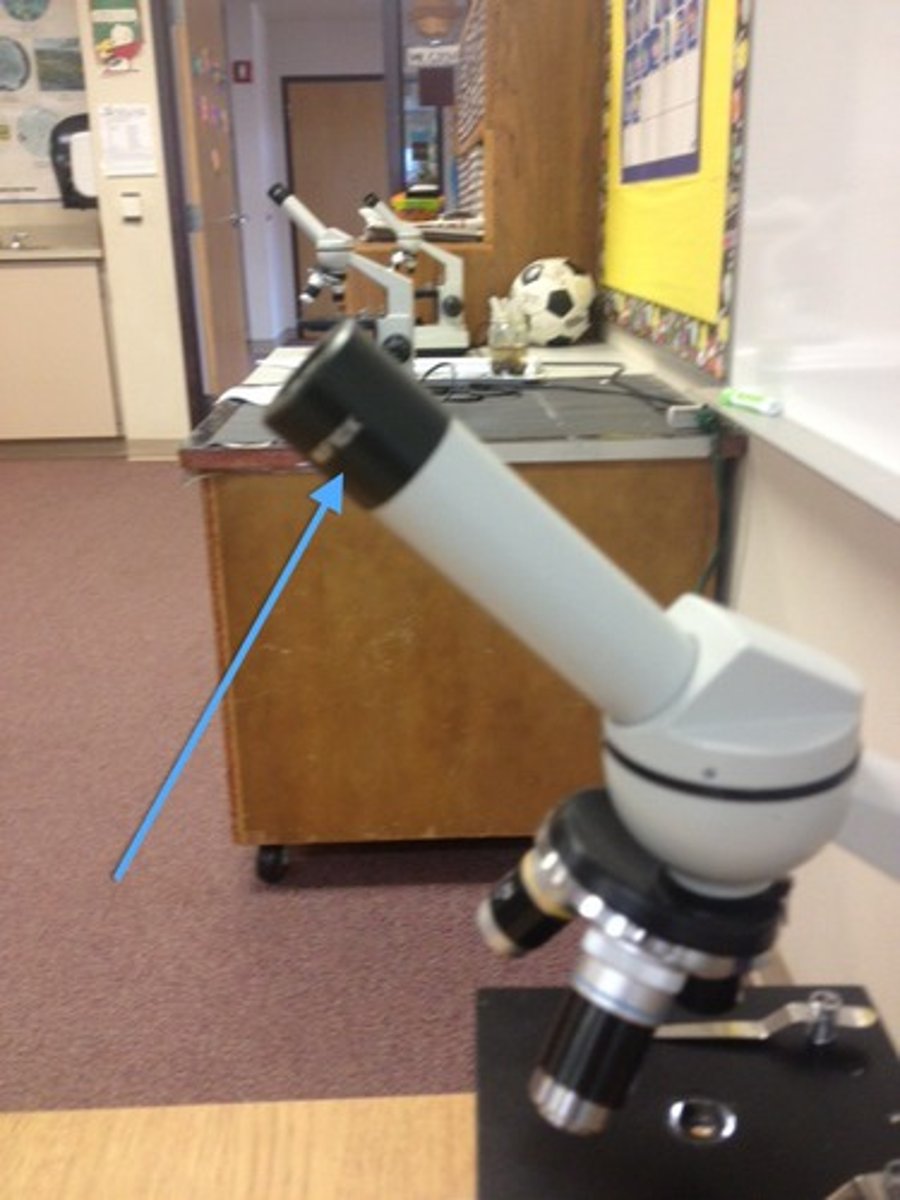 <p>Part of a microscope used to view the specimen.</p>