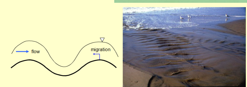 <p><span style="color: rgb(253, 253, 253);">Typically migrate upstream and show little asymmetry. The water surface is strongly in phase with the bed. Commonly seen as train of symmetrical surface waves</span></p>
