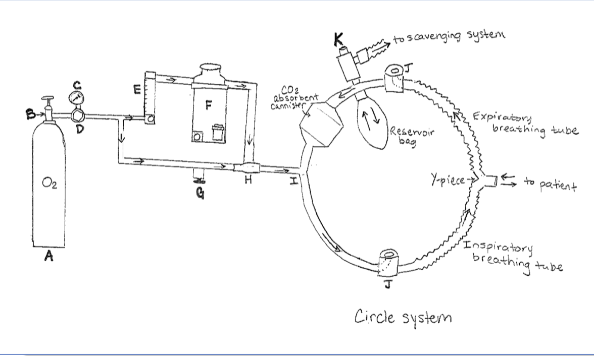 <p>what are parts of the intermediate pressure system</p>