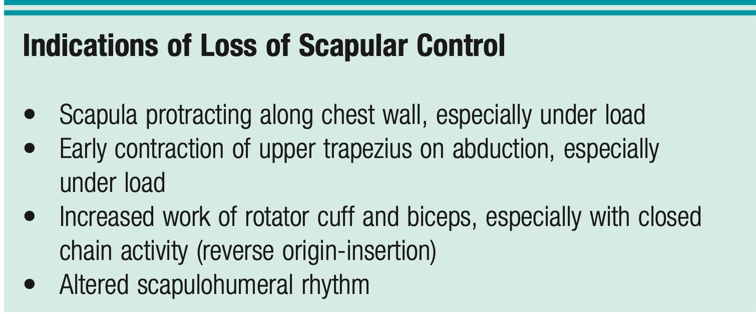 <p><span style="font-family: HelveticaNeue"><strong>Indications of Loss of Scapular Control</strong></span></p>