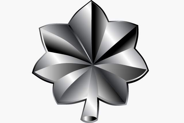 <p>Rank?</p>