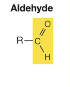 <p>Polar. C=O group is very reactive. Important in building molecules and in energy- releasing reactions. </p>