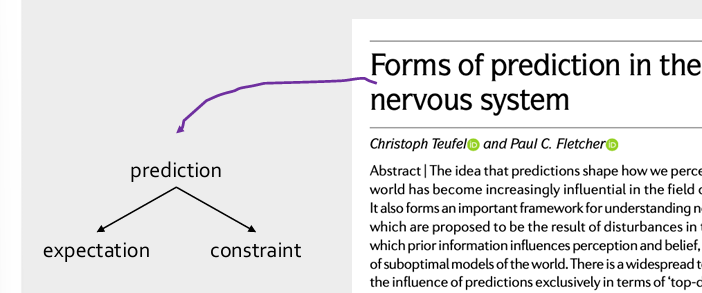 <p>Prediction >>expectation</p><ul><li><p><span>Constraint ; veel low level, in mijn visuele cortex zo opgebouwd is</span></p></li></ul><p>&nbsp;</p><p>Op basis van experimenten die we hebben gedaan zien we dat er 2 processen zijn, reden om 2 woorden te gebruiken</p><p>&nbsp;</p><p>Zij is het er niet mee eens</p><p>is dus niet goed </p>