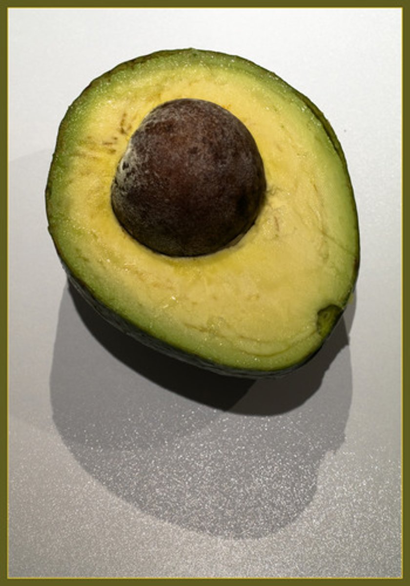 <p>avocado</p>