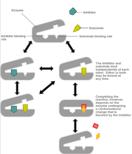 <ul><li><p>inhibitor not binding to active site but to alosteric site</p></li></ul><ul><li><p>can bind to free enzyme or ES (enzyme substrate) complex</p></li><li><p>don’t prevent substrate binding, prevent enzyme from catalyzing rxn</p></li></ul><p></p>