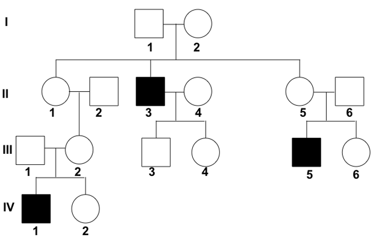 <p><strong>Autosomal recessive</strong></p><ul><li><p>Usually unaffected parents</p><ul><li><p>Parents usually asymptomatic carriers</p></li></ul></li><li><p>25% chance of affected child</p><ul><li><p>after birth of affected child</p></li><li><p>Both parents must be carriers</p></li></ul></li><li><p>Increased incidence of parental consanguinity</p></li><li><p>Either sex is affected</p></li></ul><p></p>