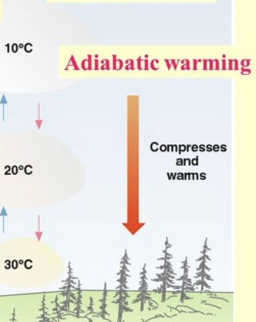 <p>The process by which the temperature of an air parcel increases as it is compressed due to rising pressure, without heat exchange with the surrounding environment. </p>