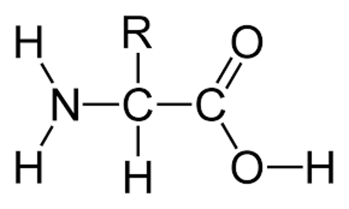 <p>Amino acids are formed of a(n) _____ group with a(n) ________ group and a(n) _ group side chain.</p>