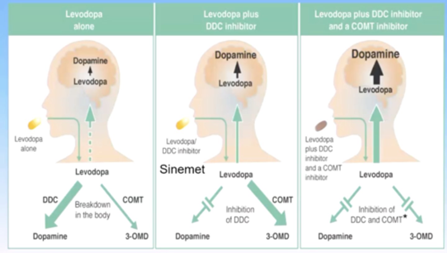 <p>combing levadopa, DOPA decarboxylase (carbidopa), and a COMT inhibitor</p><p>this will maximize levadopa getting into the brain</p>