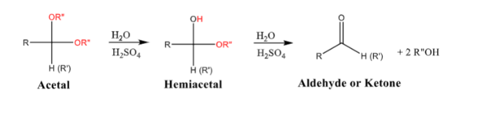 <ul><li><p><span>Reverse of formation of hemiacetals/acetals</span><span style="color: windowtext">&nbsp;</span></p></li><li><p><span>Requires water and acid (H2SO4)</span><span style="color: windowtext">&nbsp;</span></p></li></ul>