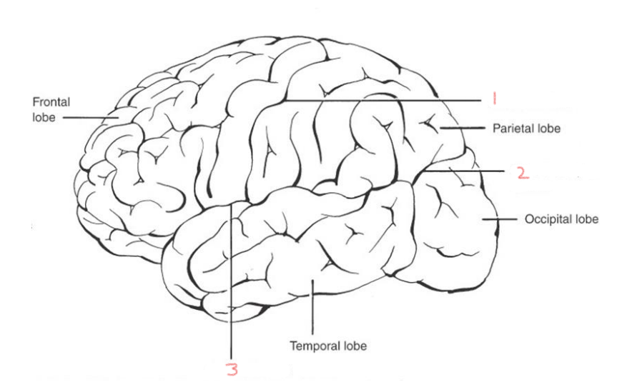 <p>1</p>
