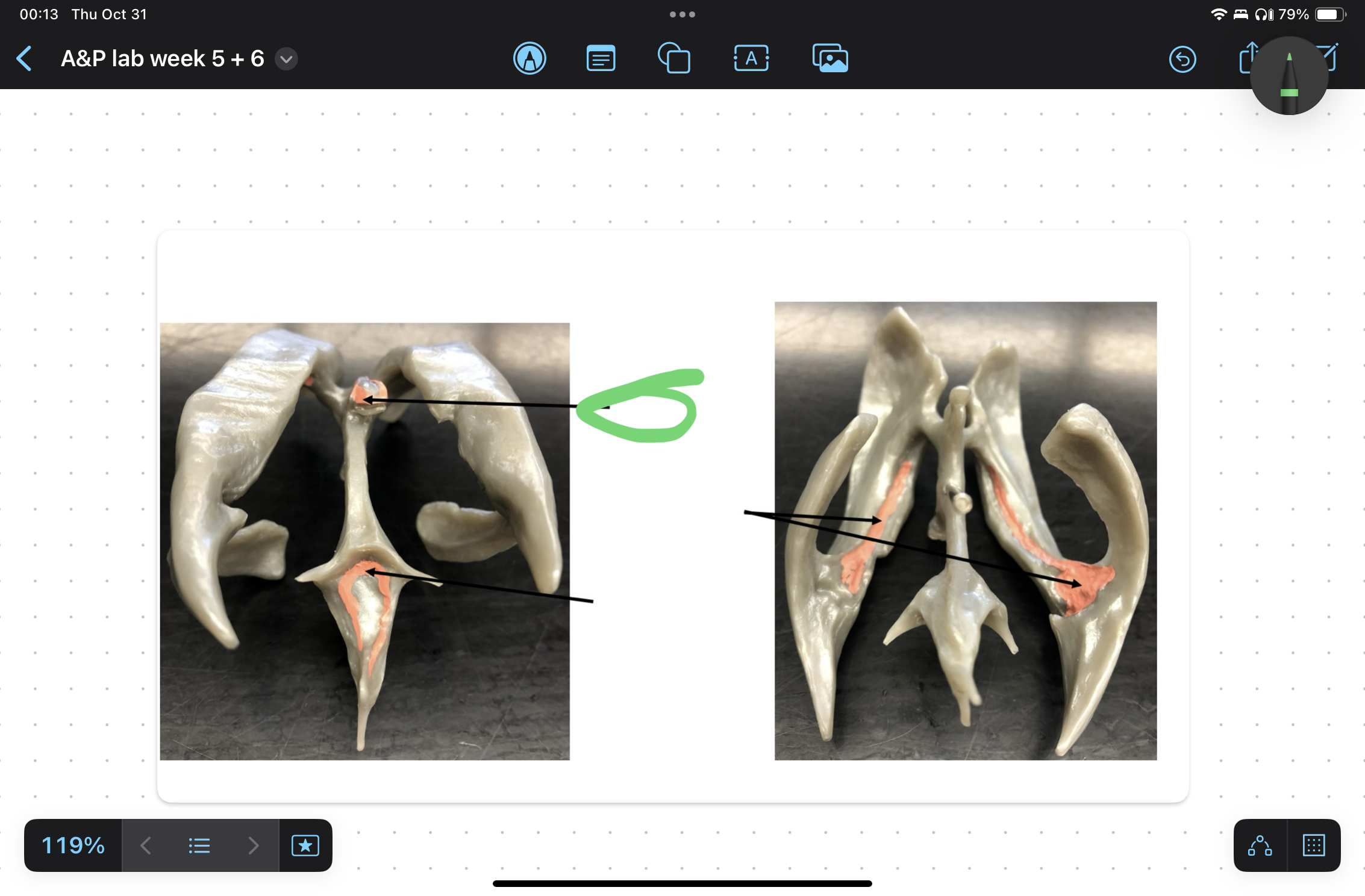 knowt flashcard image