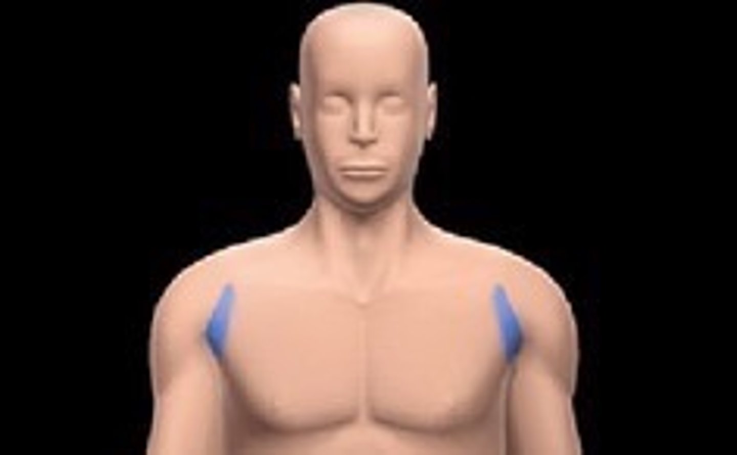 <p>Armpit</p>