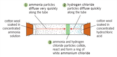 <p>White ring (NH<sub>4</sub>Cl) forms closer to HCl because NH<sub>3</sub> particles are lighter and diffuse faster.</p>