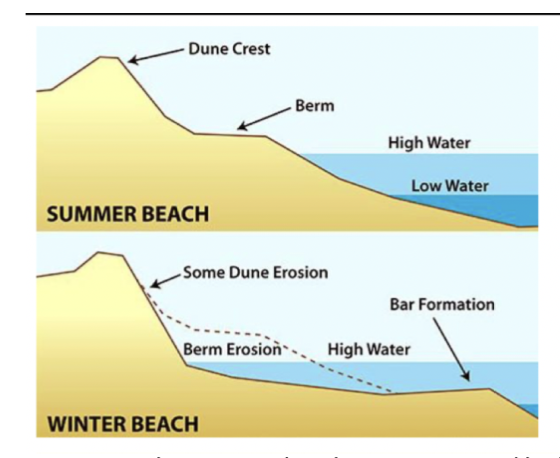 Summer: low wave height, sediment moves onshore, beach is wide and flat

 

Winter: higher waves, sediment moves off shore, beach is narrow and steep

      