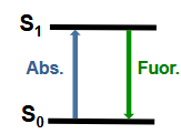 <p>light that is emitted by molecules after they are excited to upper (excited) electronic states, as they relax down to the ground electronic state; keeps the same spin orientation</p>