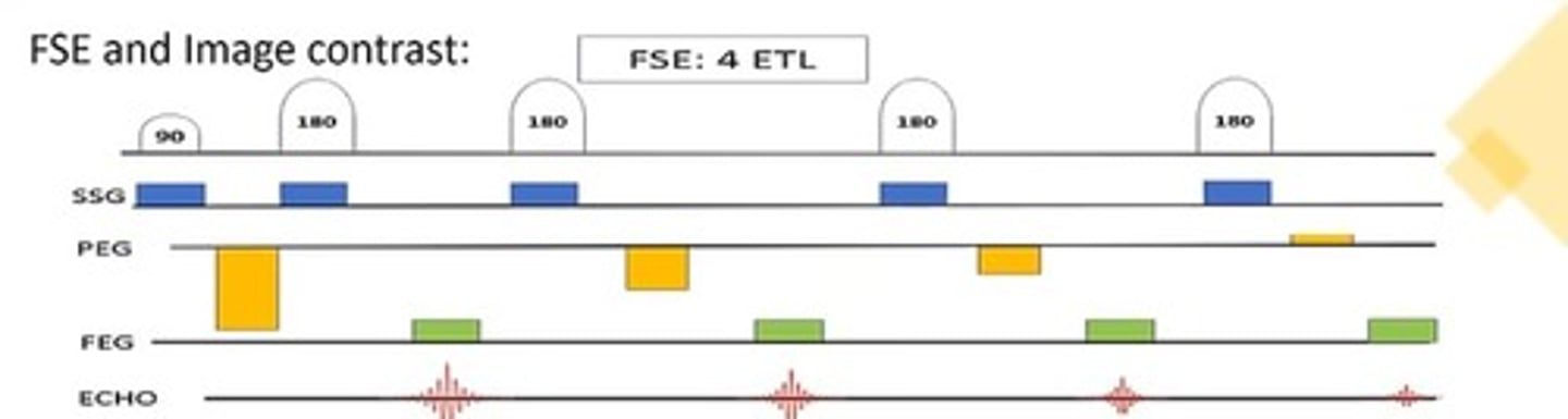 <p>ETL refers to having multiple 180-degree refocusing pulses for each slice per TR, resulting in multiple echoes.</p>