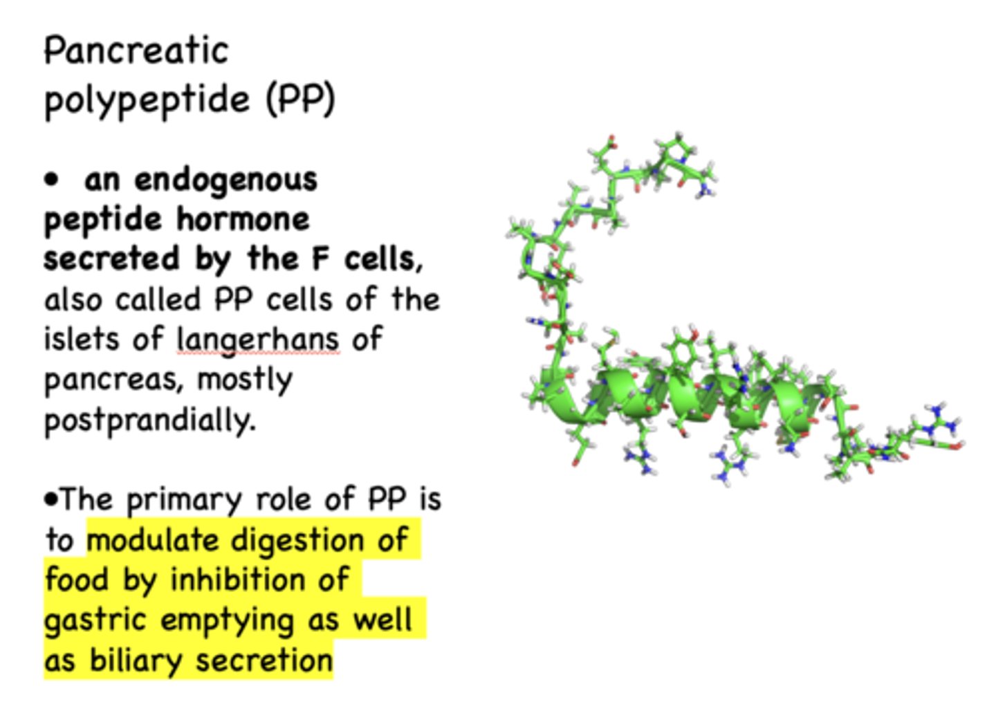 <p>to modulate digestion of food by inhibition of gastric emptying as well as biliary secretion</p>