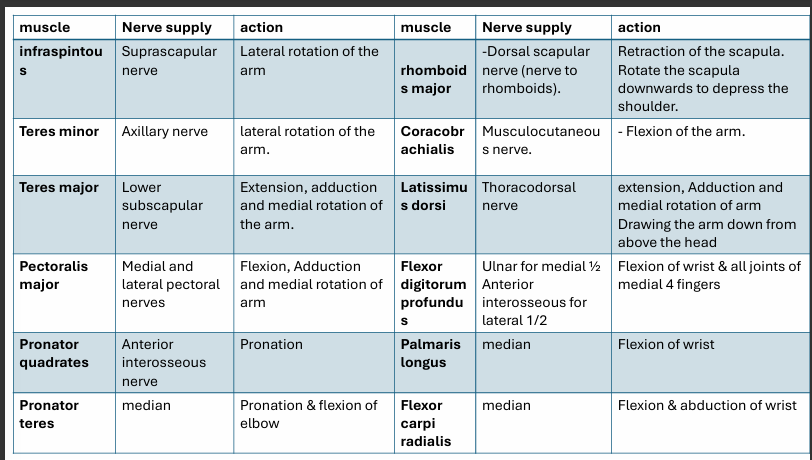 knowt flashcard image