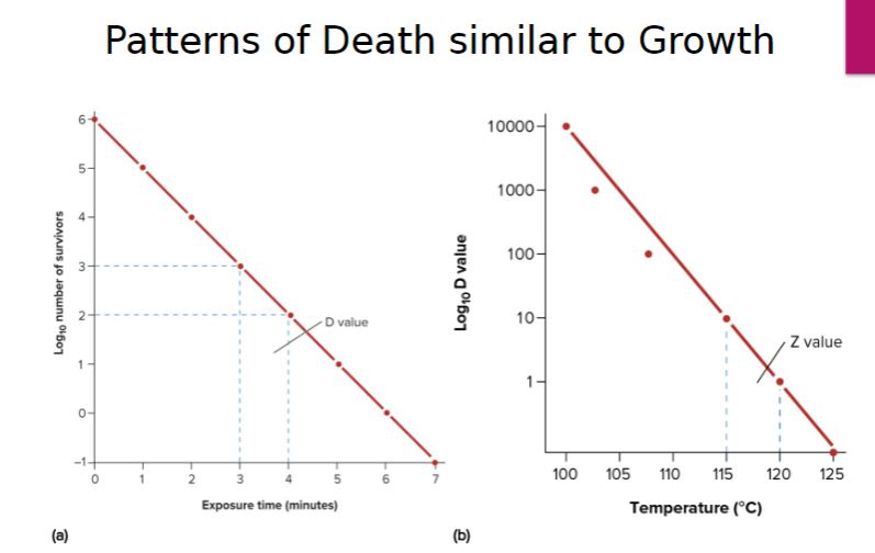 <p>Patterns of death similar to growth</p>