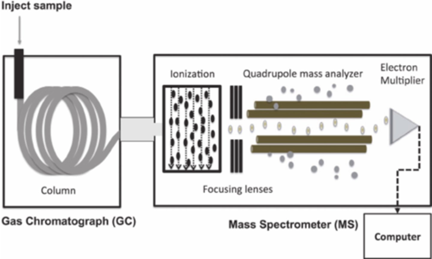 <p>Because Gas Chromatography alone is not necessarily accurate enough in identifying exact compounds.</p>