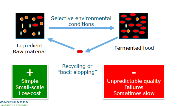 <ul><li><p>Might contain pathogenic microbes</p></li><li><p>Or spoilage causing microbes</p></li><li><p>Makes fermentation rate unpredictable and conditions not constant</p></li></ul><p></p>