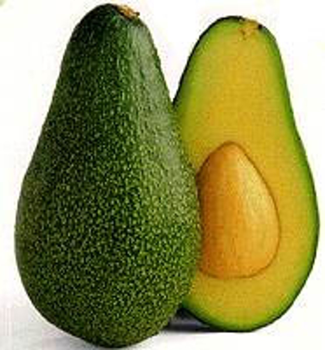 <p>avocado</p>