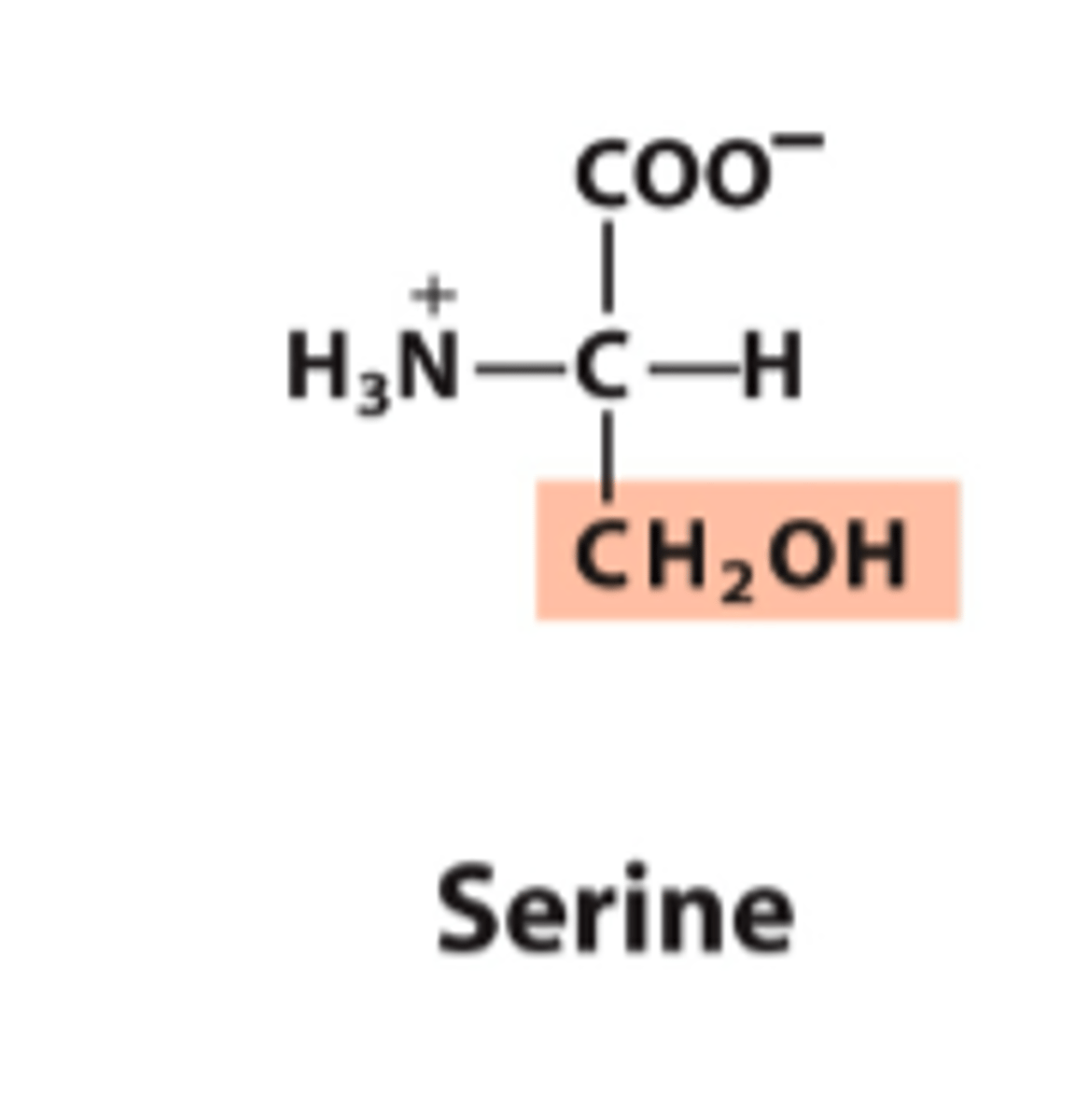<p>What is the classification of this amino acid's R group?</p>