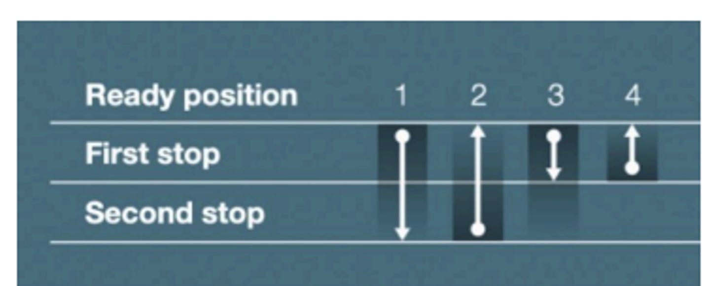 <p>Repetitive Pipetting Technique</p>