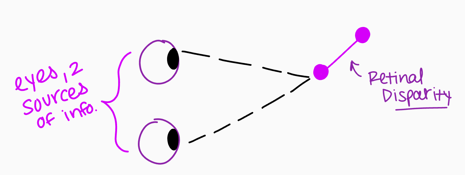 Depth cues that come from 2 eyes 
