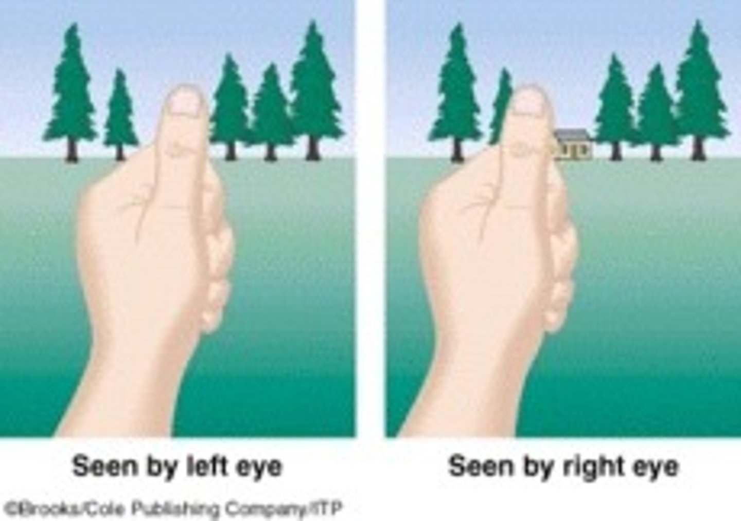 <p>Binocular cue from the different views each eye has of the world.</p>