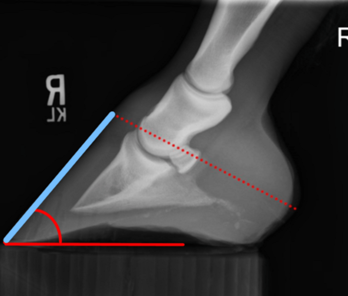 <p>What measurement is this?</p>